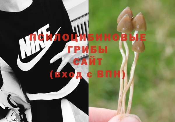 ешки Богданович