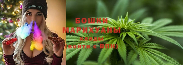 ешки Богданович