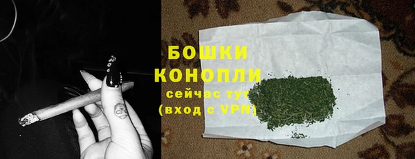 ешки Богданович