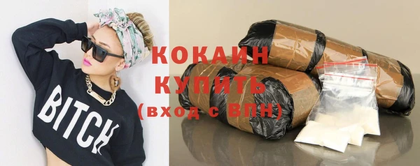 твердый Богородск