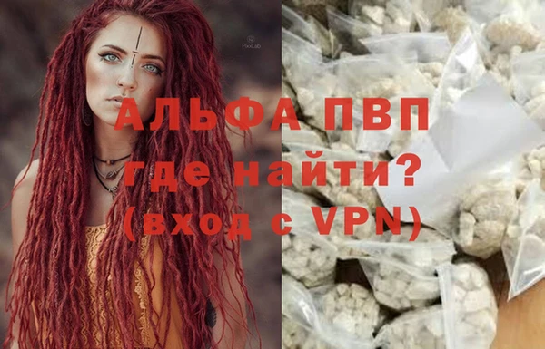 дмт Белокуриха