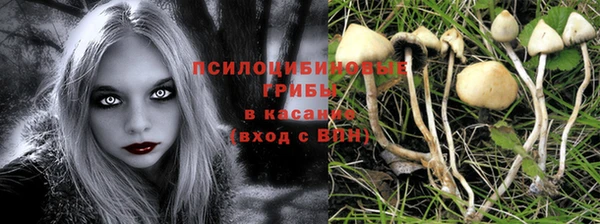 ешки Богданович