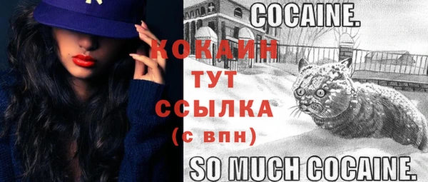 дмт Белокуриха