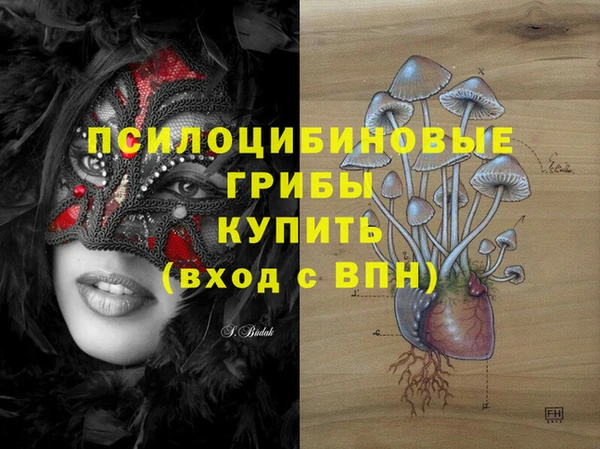 ешки Богданович