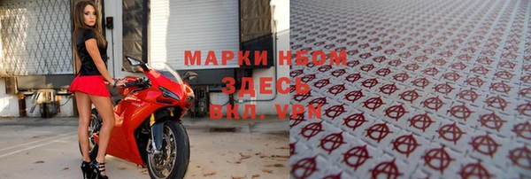 дмт Белокуриха